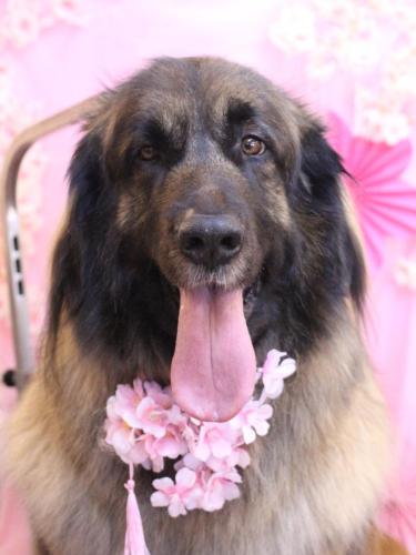 20250321シェリーちゃん